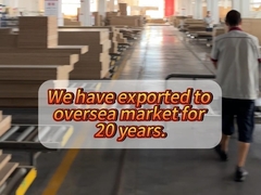 20 साल का मूल कारखाना